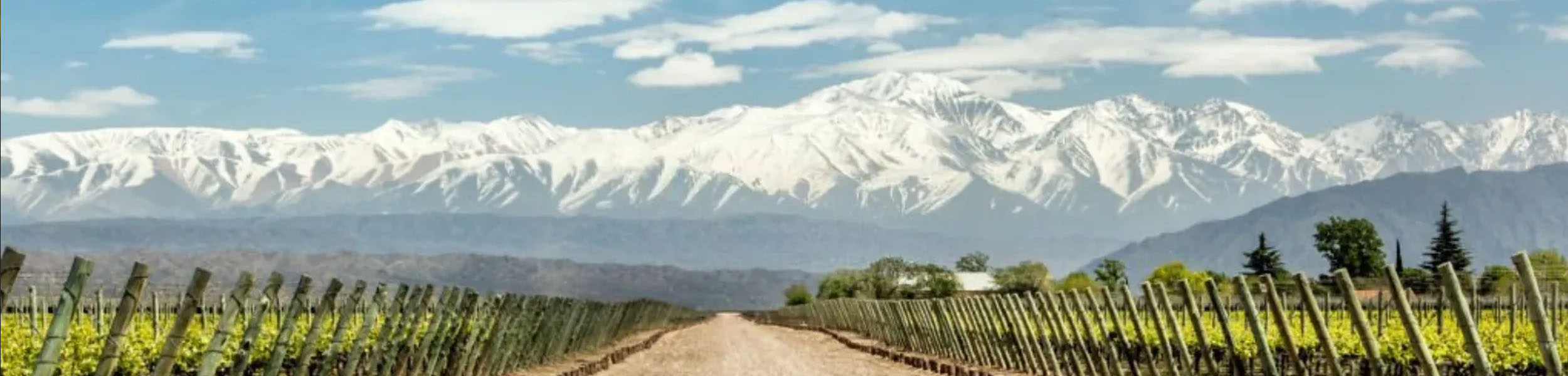 mendoza 03